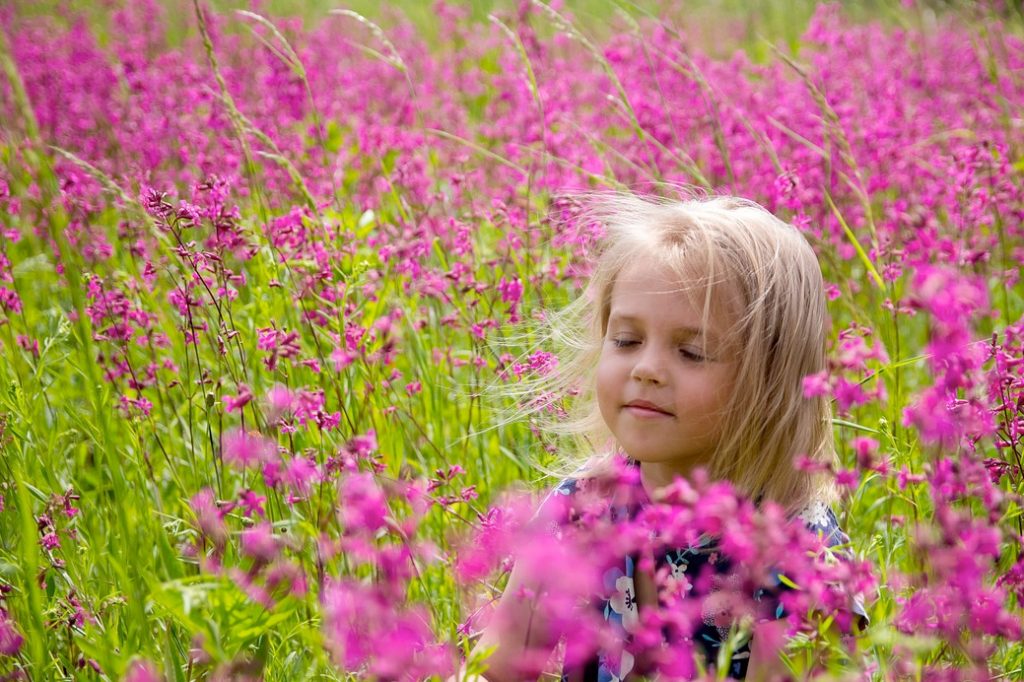 Little girl in field with tall purple flowers